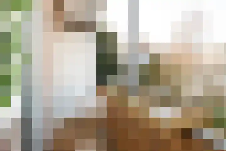 Willem de Zwijgerlaan 59 2 Amsterdam thumbnail 18