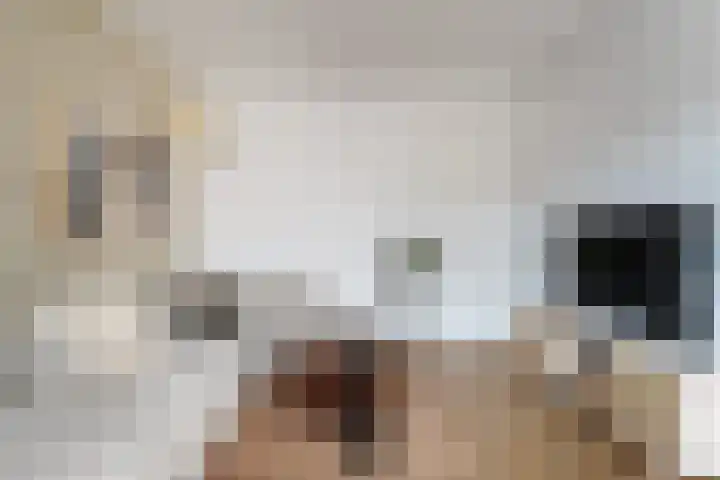 Willem de Zwijgerlaan 59 2 Amsterdam thumbnail 5