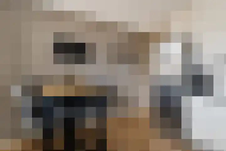 Willem de Zwijgerlaan 59 Heerenveen thumbnail 13