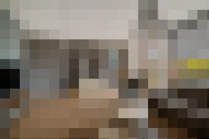 Willem de Zwijgerlaan 59 Heerenveen thumbnail 17