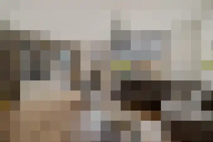 Willem de Zwijgerlaan 59 Heerenveen thumbnail 18
