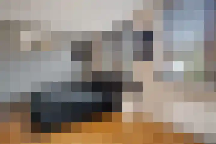 Willem de Zwijgerlaan 59 Heerenveen thumbnail 19