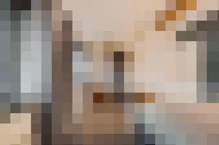 Willem de Zwijgerlaan 59 Heerenveen thumbnail 28