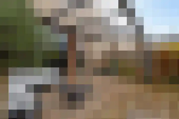 Willem de Zwijgerlaan 59 Heerenveen thumbnail 32