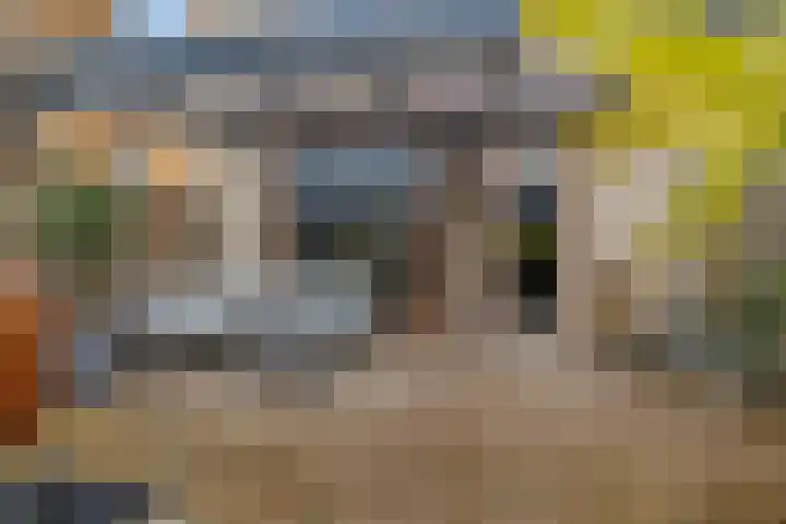 Willem de Zwijgerlaan 59 Heerenveen thumbnail 33