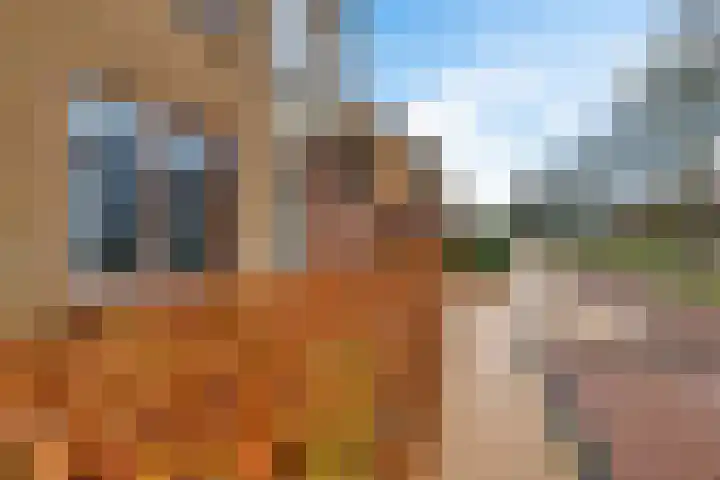Willem de Zwijgerlaan 59 Heerenveen thumbnail 39