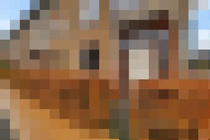 Willem de Zwijgerlaan 59 Heerenveen thumbnail 4