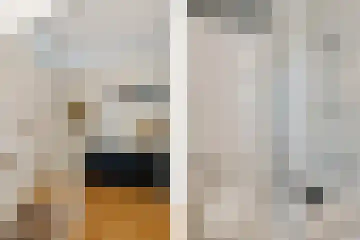 Willem de Zwijgerlaan 59 Heerenveen thumbnail 42