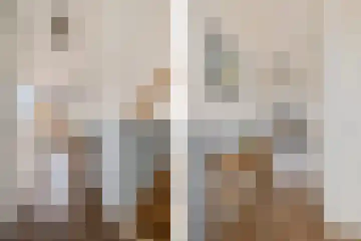 Willem de Zwijgerlaan 59 Heerenveen thumbnail 5