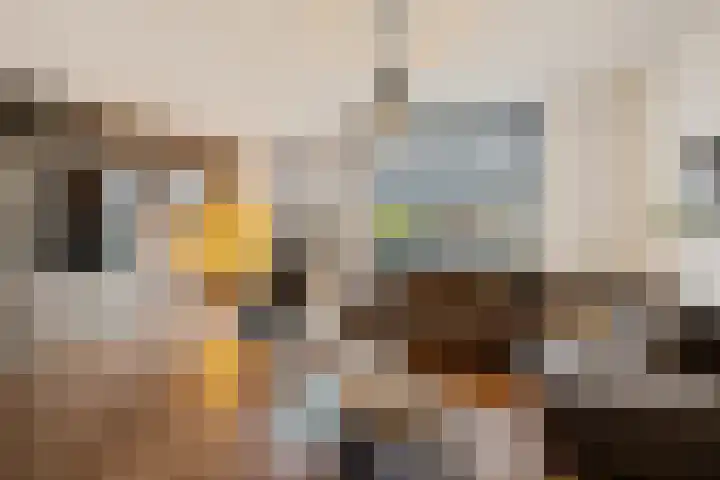 Willem de Zwijgerlaan 59 Heerenveen thumbnail 8