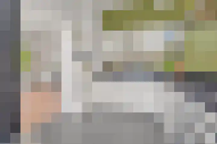Willem de Zwijgerlaan 6 A Den Haag thumbnail 20