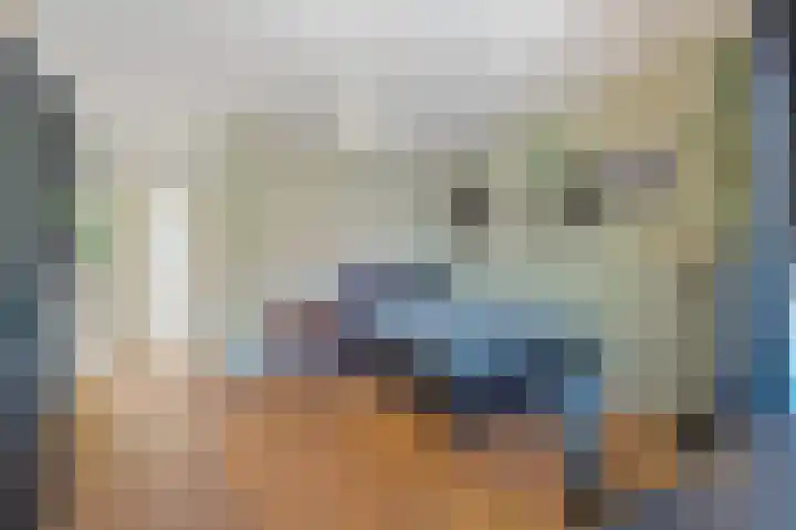 Willem de Zwijgerlaan 6 A Den Haag thumbnail 30
