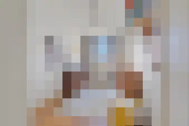 Willem de Zwijgerlaan 6 A Den Haag thumbnail 33