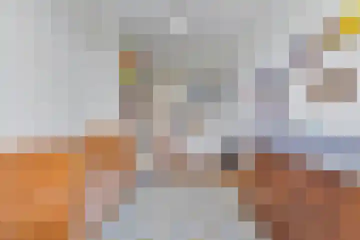 Willem de Zwijgerlaan 6 A Den Haag thumbnail 34