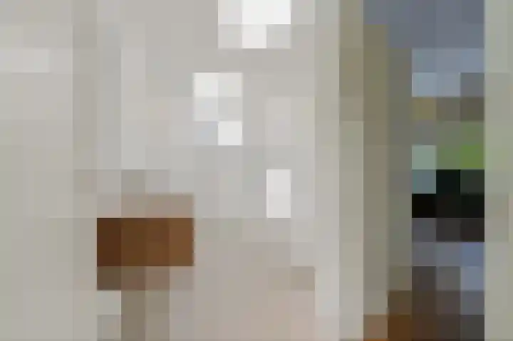 Willem de Zwijgerlaan 6 A Den Haag thumbnail 36