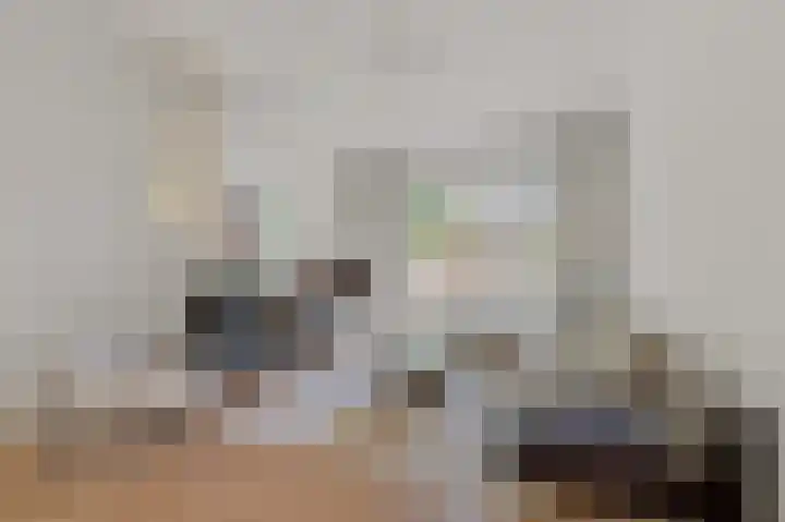 Willem de Zwijgerlaan 6 A Den Haag thumbnail 4