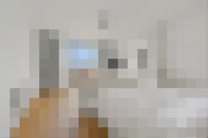 Willem de Zwijgerlaan 6 A Den Haag thumbnail 42