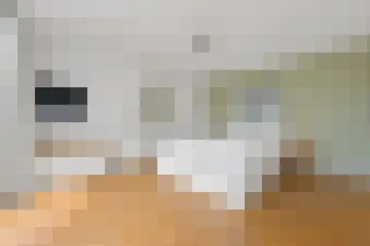 Willem de Zwijgerlaan 6 A Den Haag thumbnail 43