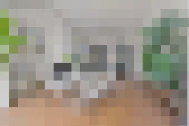 Willem de Zwijgerlaan 6 A Den Haag thumbnail 9