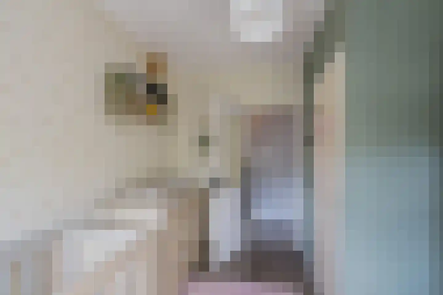 Willem de Zwijgerlaan 6 Alphen aan den Rijn thumbnail 13