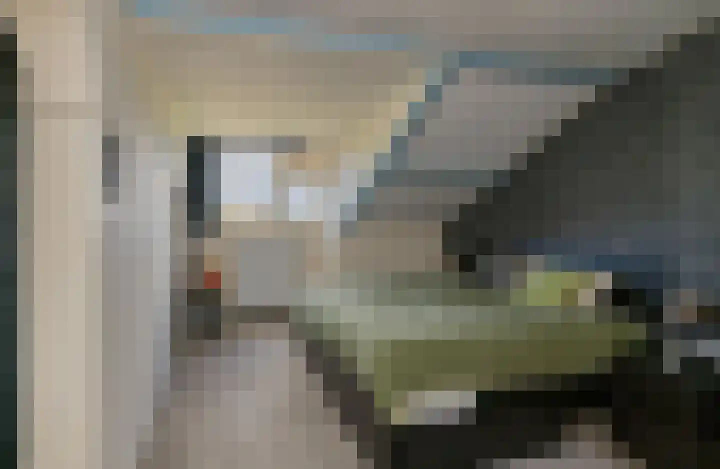 Willem de Zwijgerlaan 6 Alphen aan den Rijn thumbnail 22