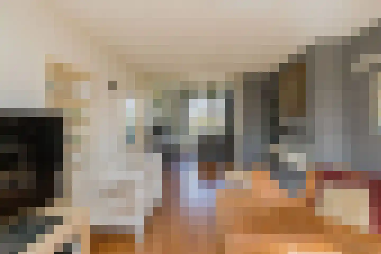 Willem de Zwijgerlaan 6 Alphen aan den Rijn thumbnail 5