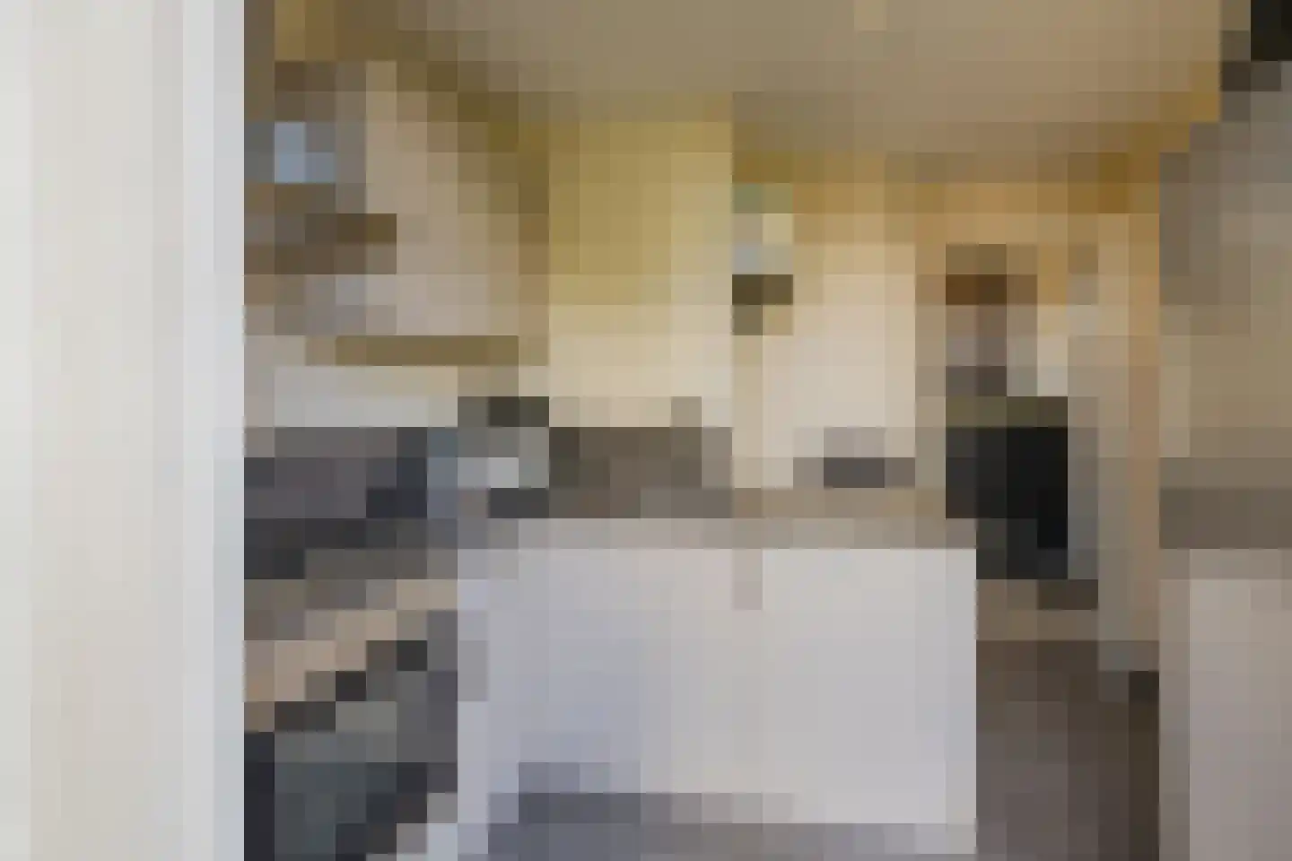 Willem de Zwijgerlaan 6 Alphen aan den Rijn thumbnail 8