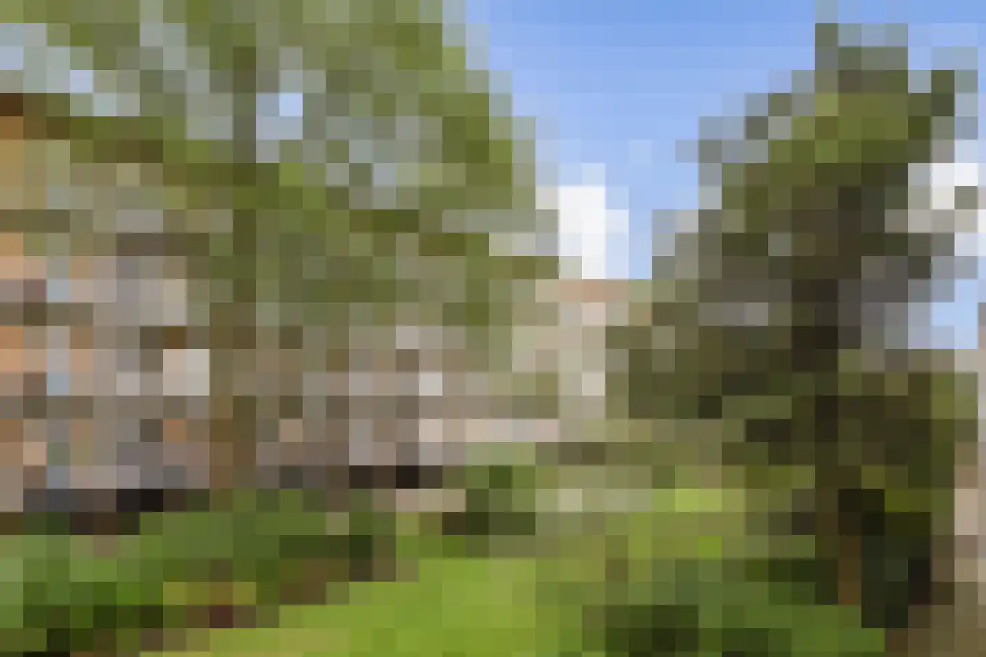 Willem de Zwijgerlaan 60 1 Amsterdam thumbnail 12