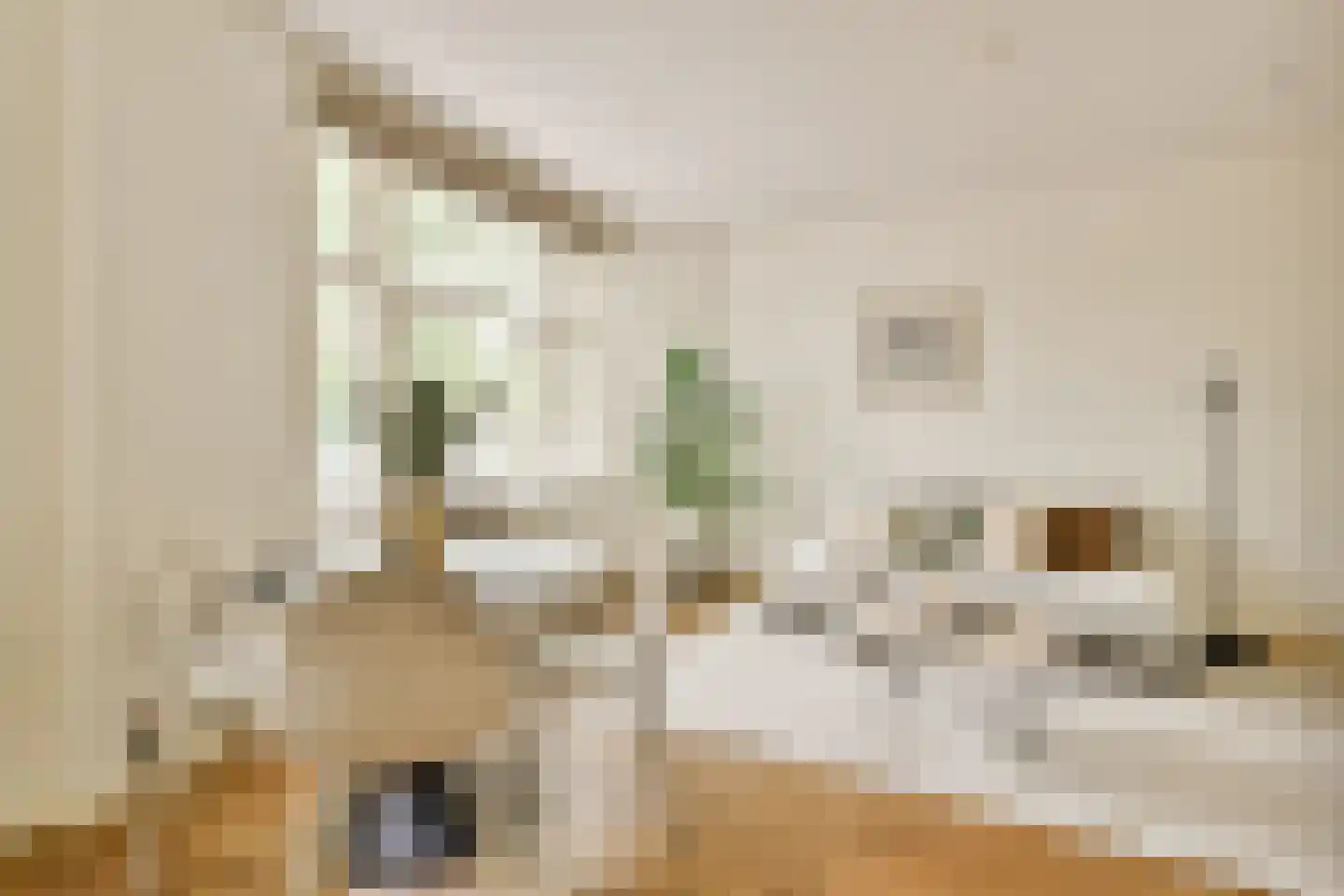 Willem de Zwijgerlaan 60 1 Amsterdam thumbnail 5