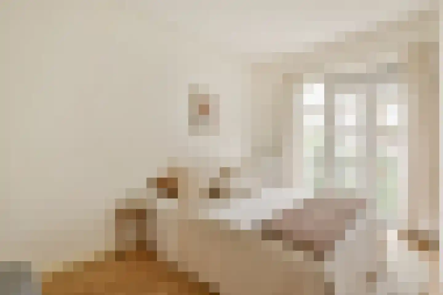 Willem de Zwijgerlaan 60 1 Amsterdam thumbnail 9