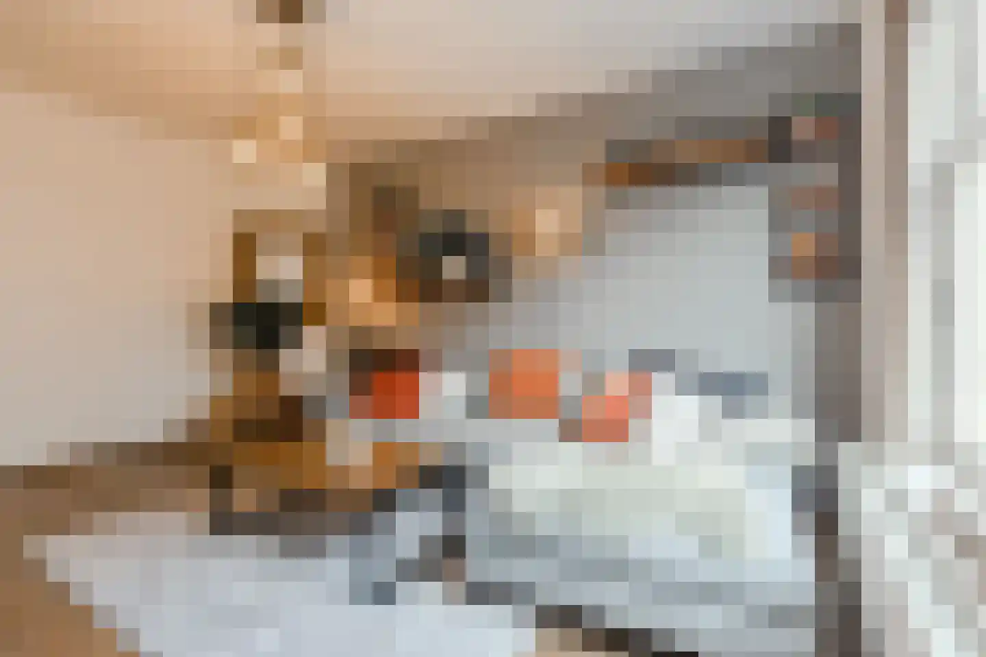 Willem de Zwijgerlaan 61 2 Amsterdam thumbnail 10