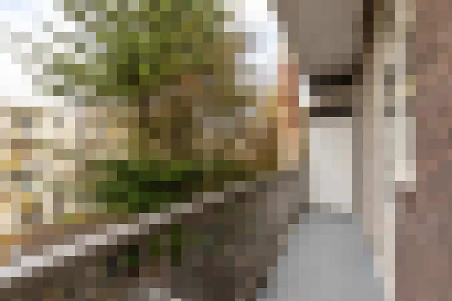 Willem de Zwijgerlaan 61 2 Amsterdam thumbnail 27