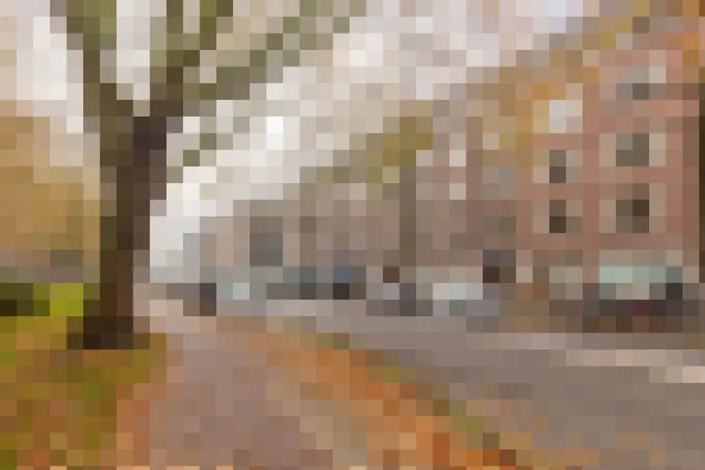Willem de Zwijgerlaan 61 2 Amsterdam thumbnail 32