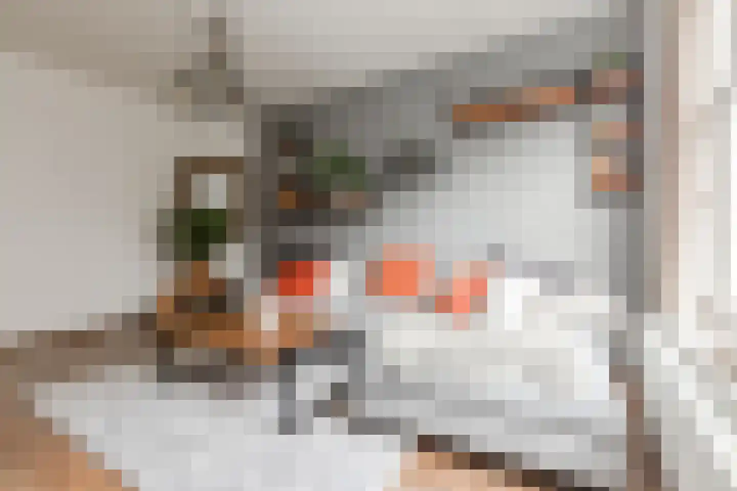 Willem de Zwijgerlaan 61 2 Amsterdam thumbnail 5