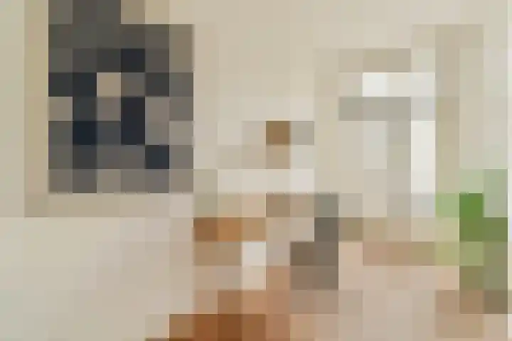 Willem de Zwijgerlaan 61 H Amsterdam thumbnail 15