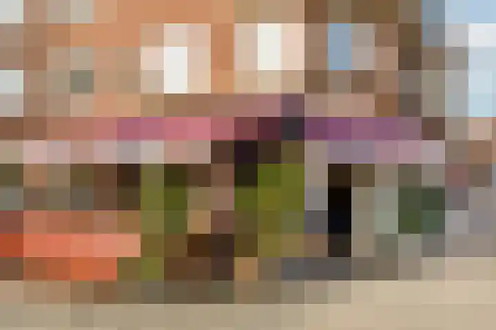 Willem de Zwijgerlaan 61 H Amsterdam thumbnail 19