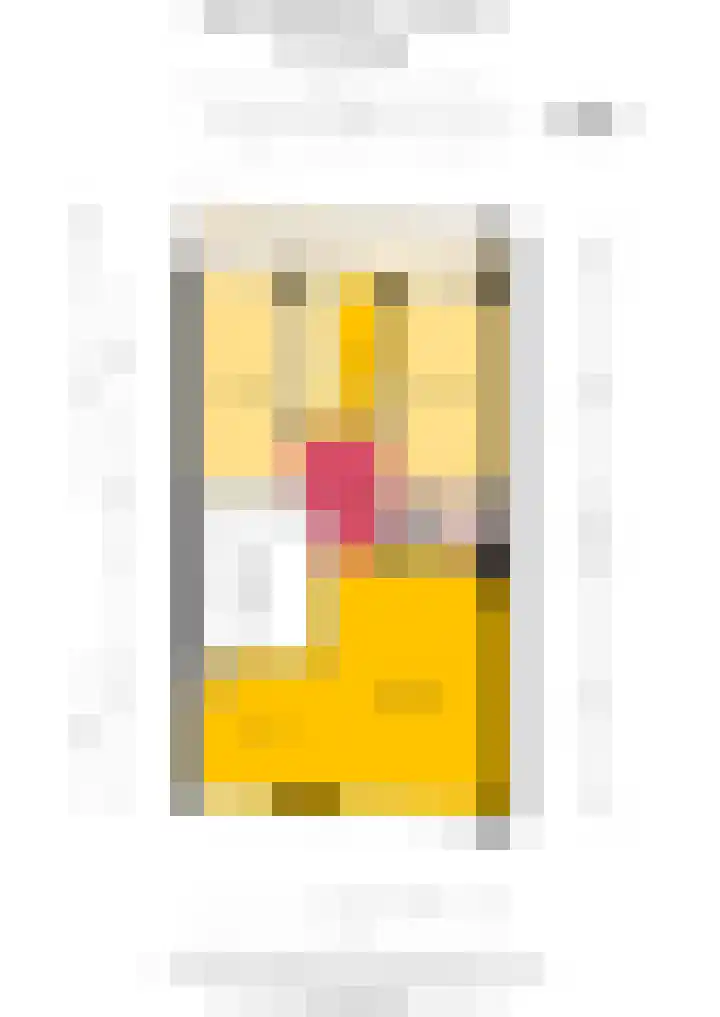 Willem de Zwijgerlaan 61 H Amsterdam thumbnail 20