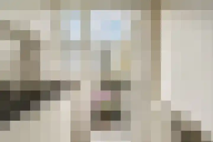 Willem de Zwijgerlaan 61 H Amsterdam thumbnail 9