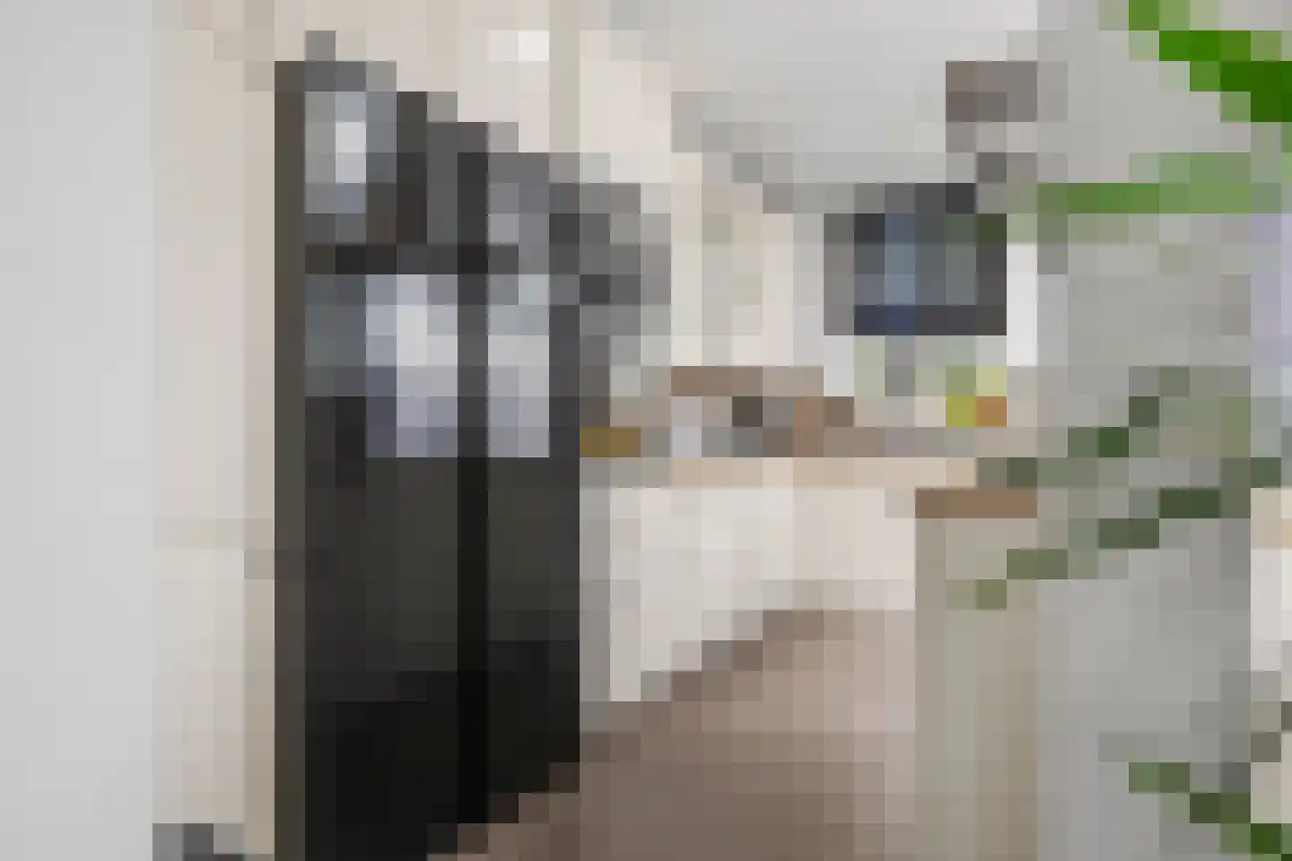 Willem de Zwijgerlaan 61 Kaatsheuvel thumbnail 15