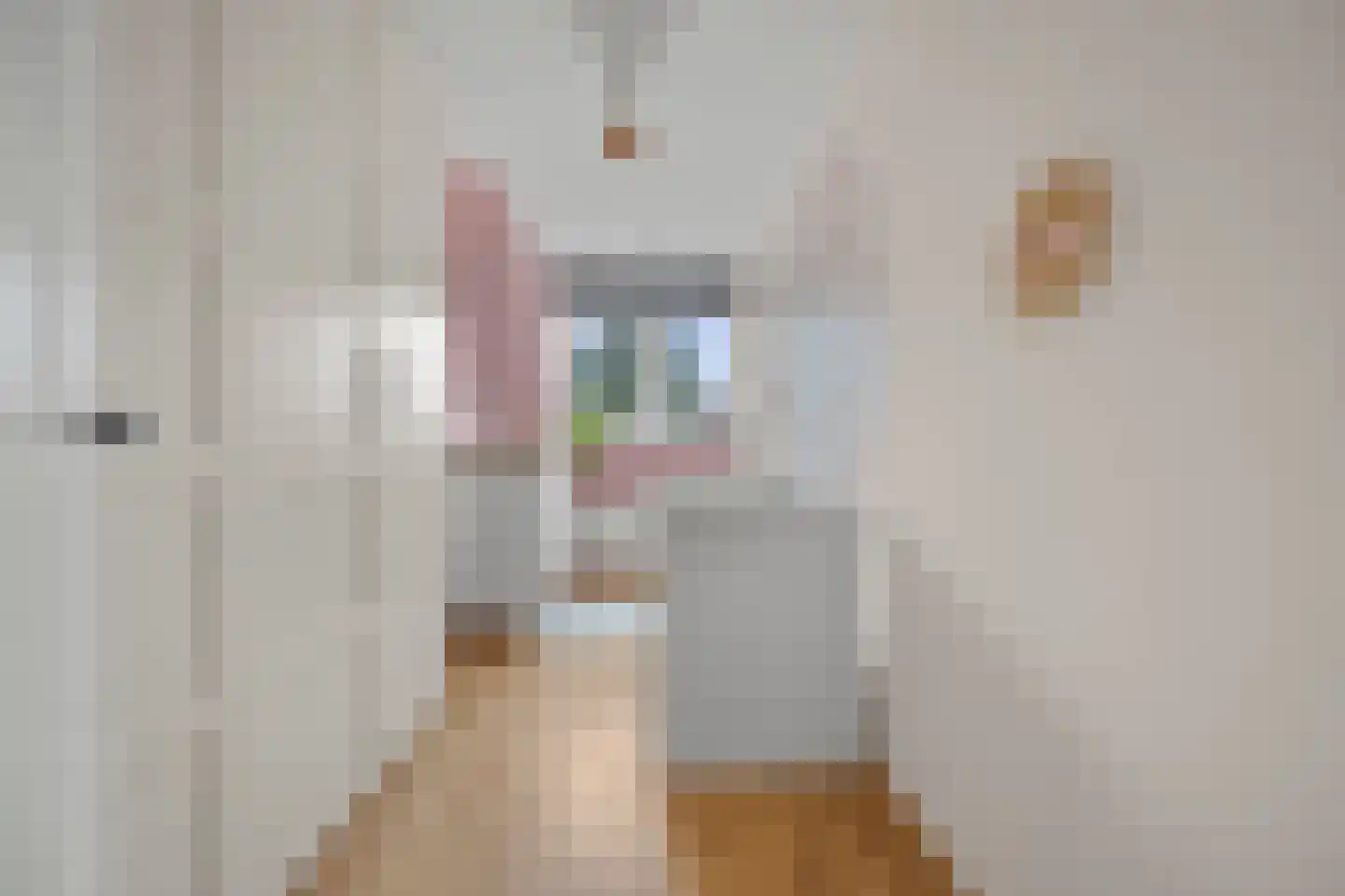 Willem de Zwijgerlaan 61 Kaatsheuvel thumbnail 23