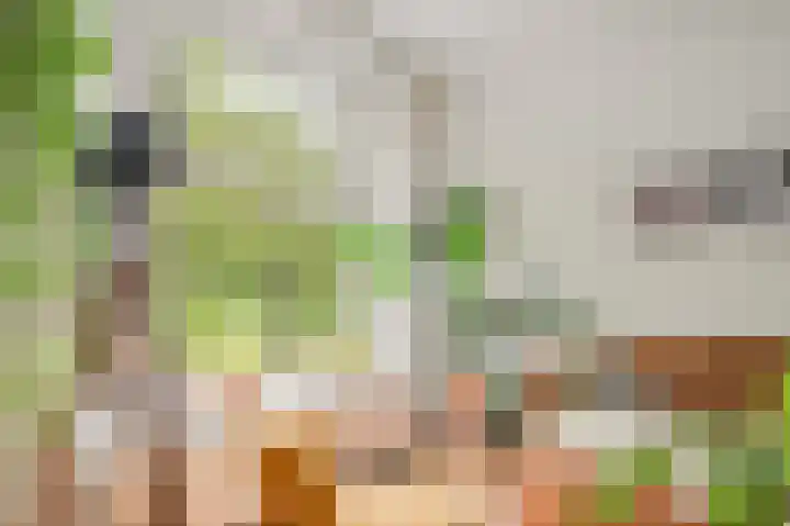 Willem de Zwijgerlaan 63 1 Amsterdam thumbnail 13