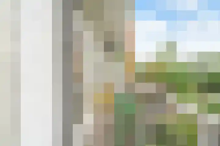 Willem de Zwijgerlaan 63 1 Amsterdam thumbnail 18