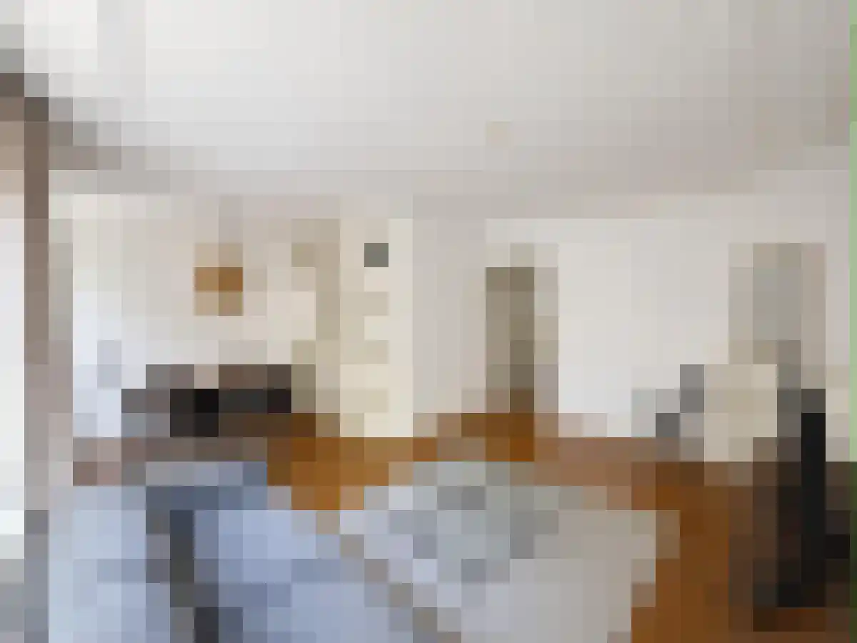 Willem de Zwijgerlaan 65 Amsterdam thumbnail 4
