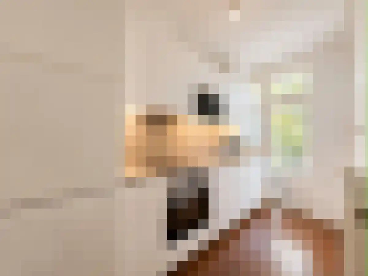 Willem de Zwijgerlaan 65 Amsterdam thumbnail 5