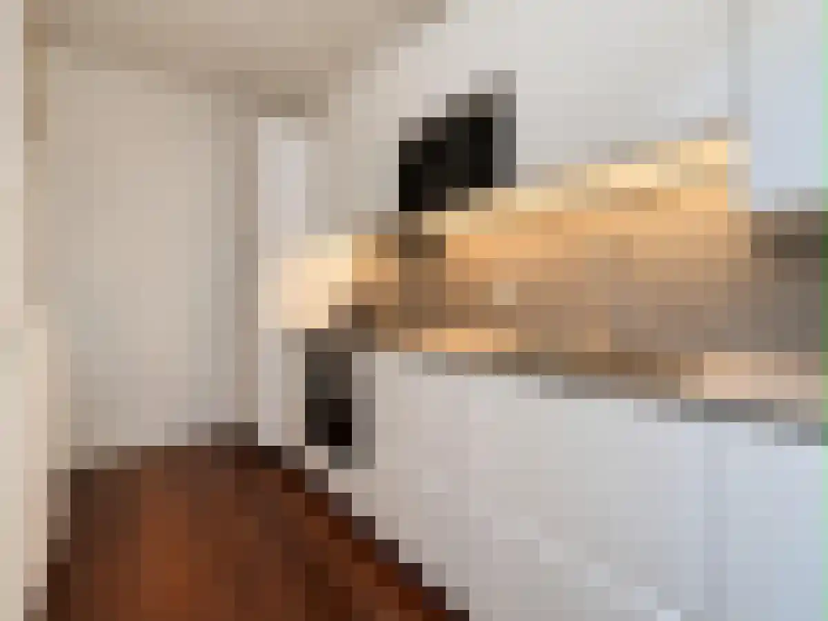 Willem de Zwijgerlaan 65 Amsterdam thumbnail 6
