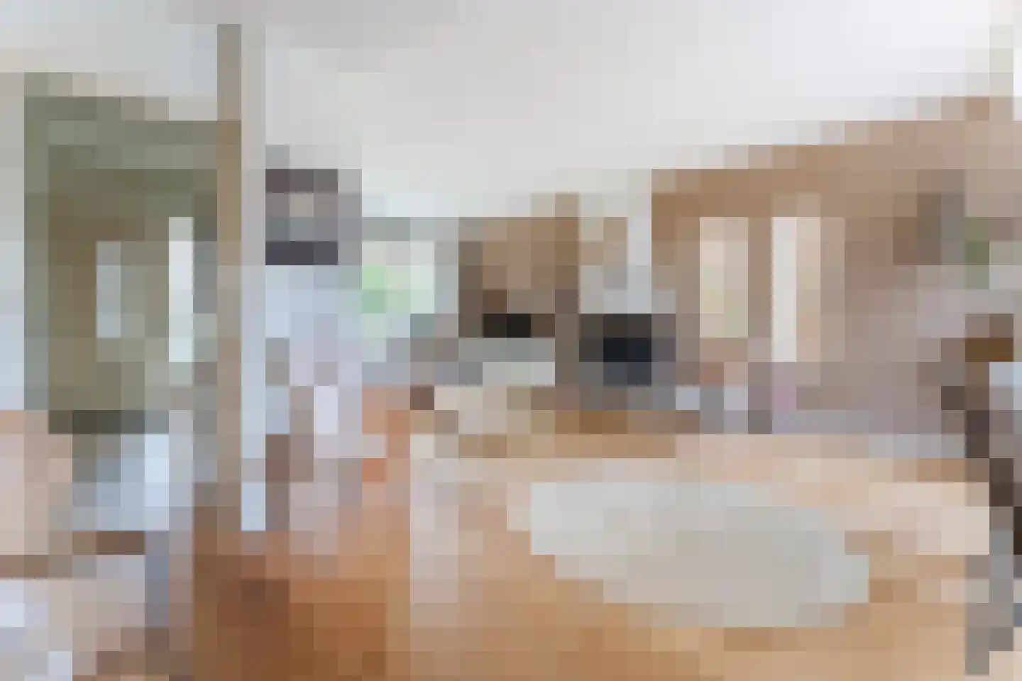 Willem de Zwijgerlaan 65 Castricum thumbnail 11