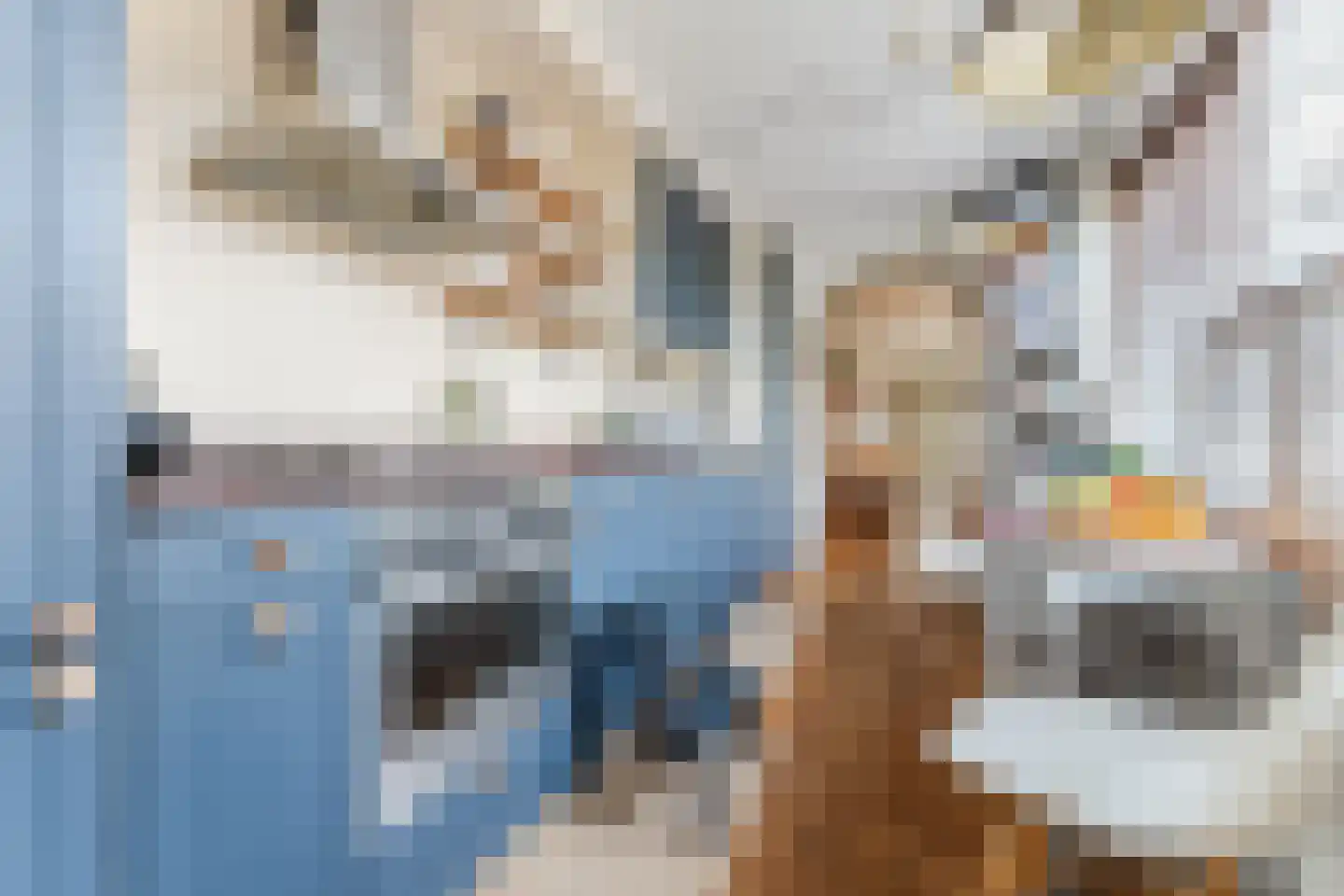 Willem de Zwijgerlaan 65 Castricum thumbnail 15