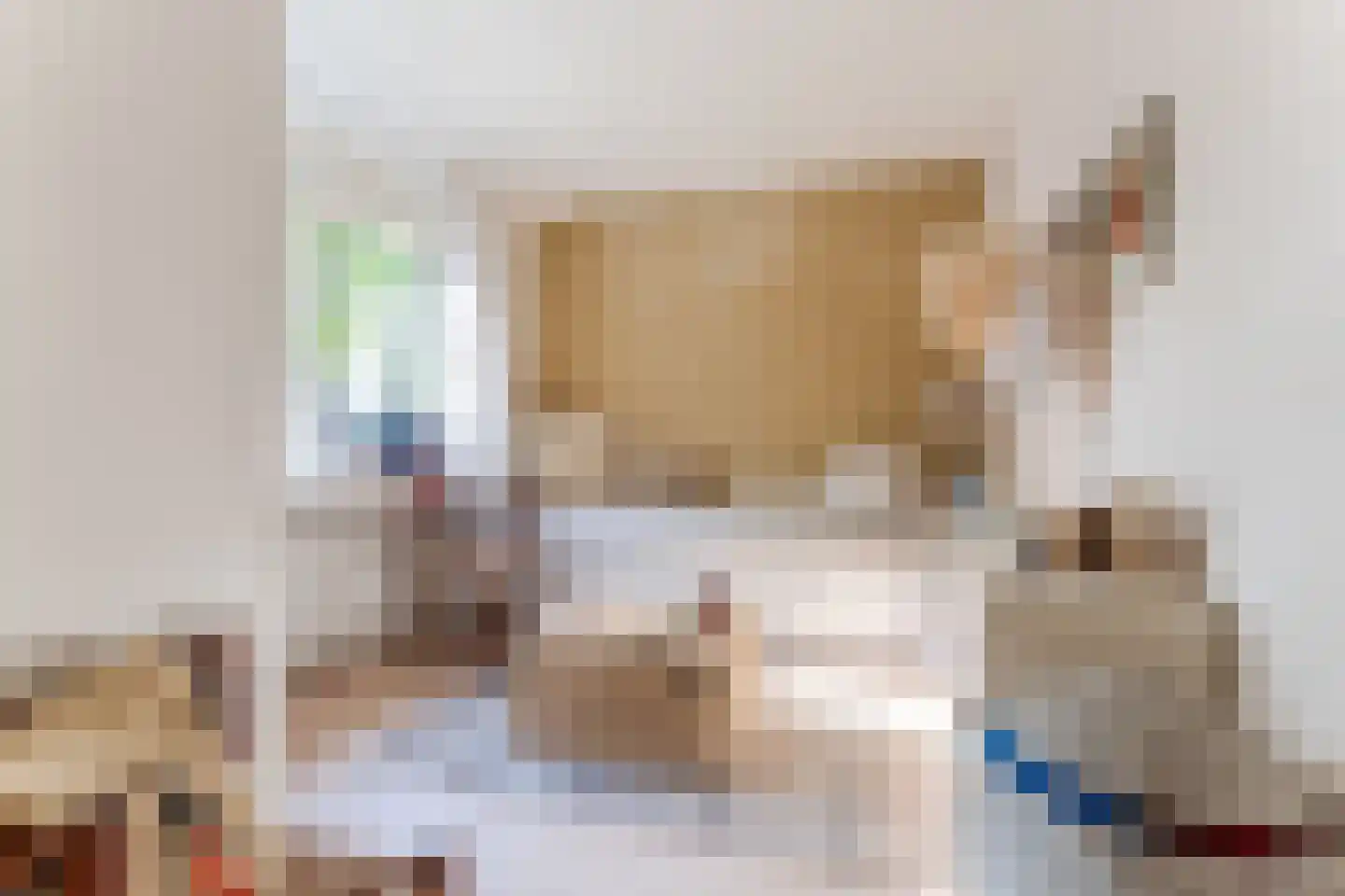 Willem de Zwijgerlaan 65 Castricum thumbnail 20