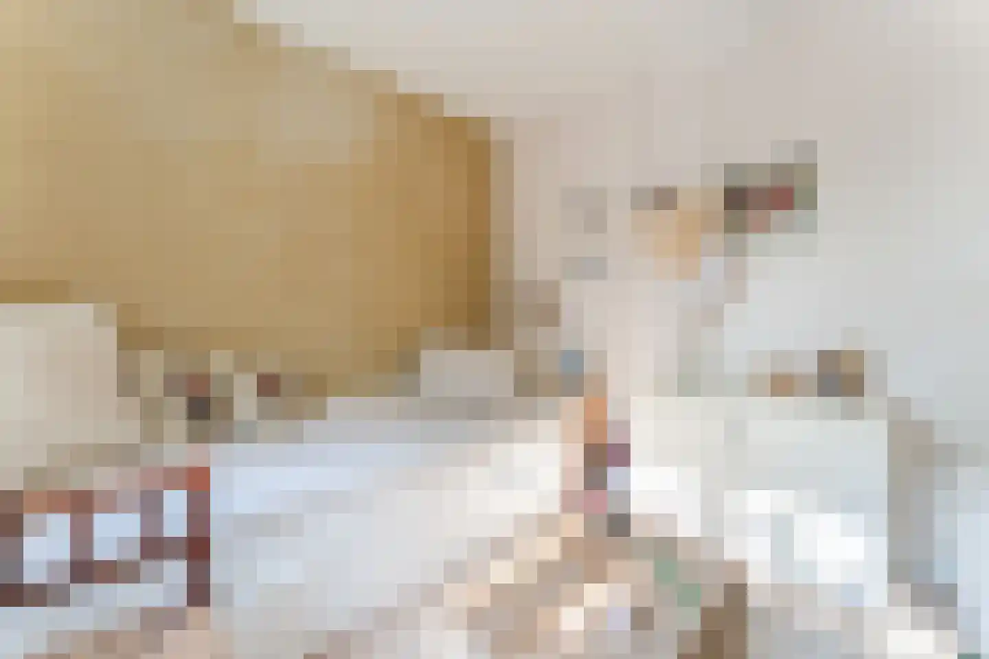 Willem de Zwijgerlaan 65 Castricum thumbnail 21