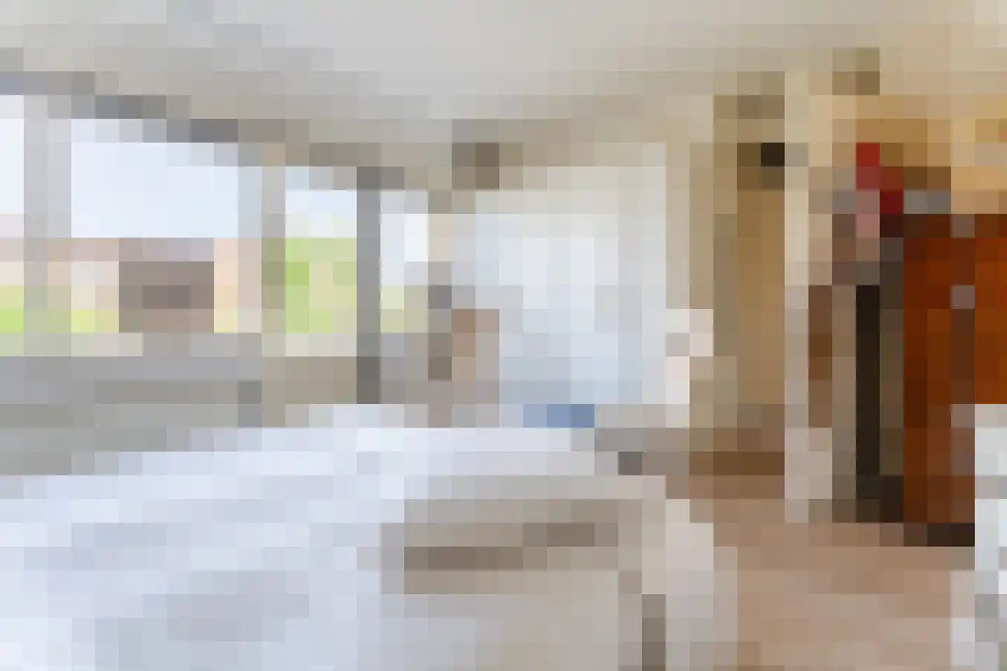 Willem de Zwijgerlaan 65 Castricum thumbnail 24